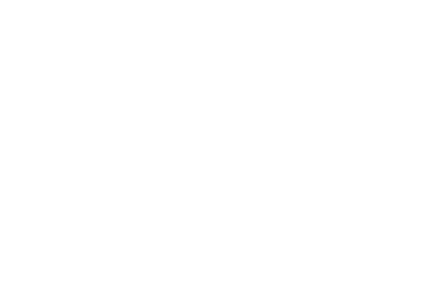 Pay Fees Online