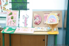 IMG_8073-Optimized